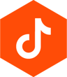 tiktok logo
